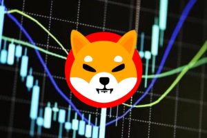 تحلیل تکنیکال شیبا (Shiba Inu (SHIB)) 30 اسفند 1403